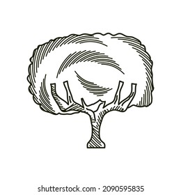 tree engraving style sketch icon