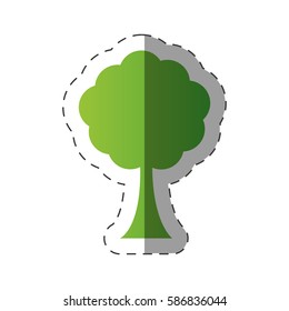 tree environment natural flora vector illustration eps 10