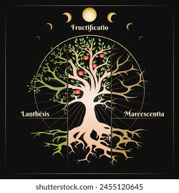 Tree of Essence in Circle of Life with latin wording what means flowering - fruiting - wilting. Medieval Esoteric vector Illustration isolated on black Background. No AI software used.