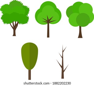 Árvore evoluindo, ilustração, vetor sobre fundo branco.