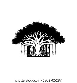 Tree with exposed roots and branches