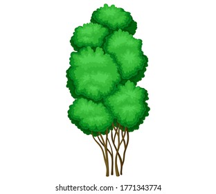 Tree with Exuberant Green Foliage and Trunk Vector Illustration