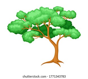 Tree with Exuberant Green Foliage and Trunk Vector Illustration