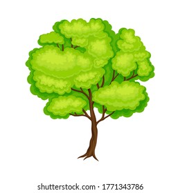 Tree with Exuberant Green Foliage and Trunk Vector Illustration