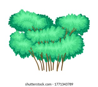 Tree with Exuberant Green Foliage and Trunk Vector Illustration