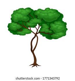 Tree with Exuberant Green Foliage and Trunk Vector Illustration