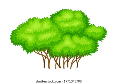 Tree with Exuberant Green Foliage and Trunk Vector Illustration