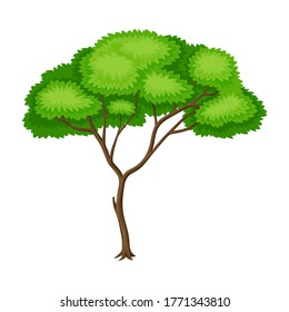 Tree with Exuberant Green Foliage and Trunk Vector Illustration