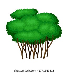 Tree with Exuberant Green Foliage and Trunk Vector Illustration