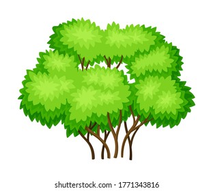 Tree with Exuberant Green Foliage and Trunk Vector Illustration