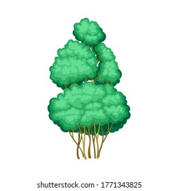 Tree with Exuberant Green Foliage and Trunk Vector Illustration