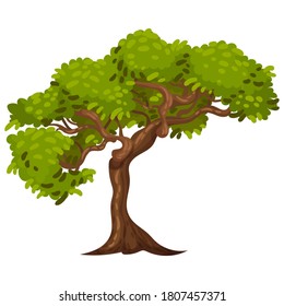 Tree with Exuberant Green Foliage and Trunk Vector Illustration