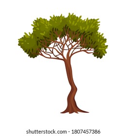 Tree with Exuberant Green Foliage and Trunk Vector Illustration