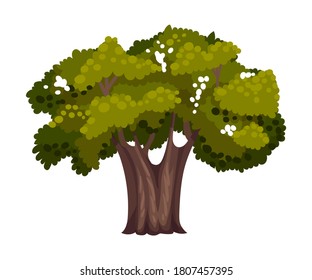 Tree with Exuberant Green Foliage and Trunk Vector Illustration