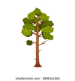 Tree with Exuberant Green Foliage and Trunk Vector Illustration