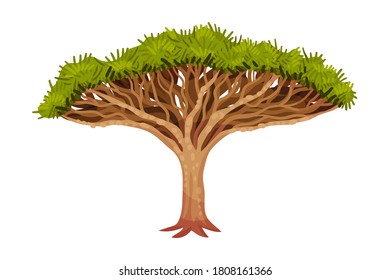 Tree with Exuberant Green Foliage and Trunk Vector Illustration