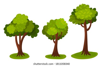 Tree with Exuberant Green Foliage and Trunk Vector Illustration