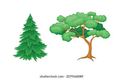 Tree with Exuberant Green Foliage and Trunk Vector Set