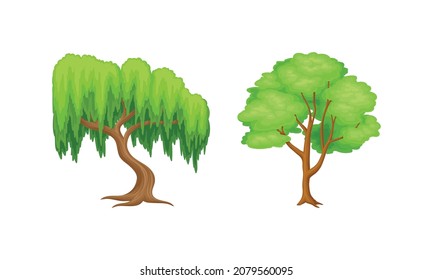 Tree with Exuberant Green Foliage and Trunk Vector Set