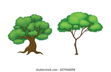 Tree with Exuberant Green Foliage and Trunk Vector Set