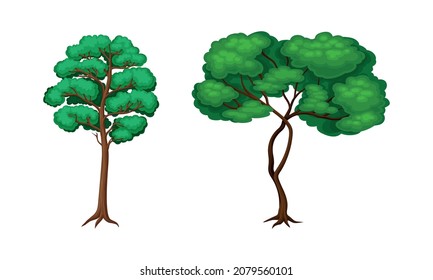 Tree with Exuberant Green Foliage and Trunk Vector Set