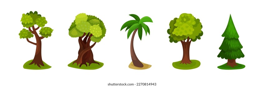 Tree with Exuberant Green Foliage and Trunk Vector Set