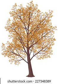Tree in fall. Gradients free. Eps8. CMYK