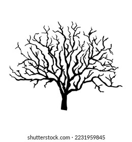 tree fall season, dry tree, stem, isolated on white. vector illustration