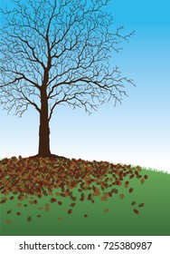 Tree With Fallen Leaves is a fall or autumn illustration of a beautiful tree where all of it’s leaves have fallen around it. There is also green grass and a blue sky background.