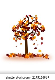 Tree with falling leaves because it is the autumn season on a white background