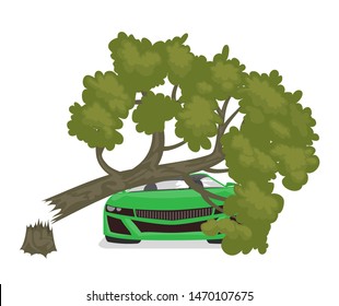 A tree fell on a car. Isolated on a white background.