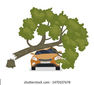 A tree fell on a car. Isolated on a white background.