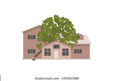 The Tree Fell On The House. Isolated On A White Background.