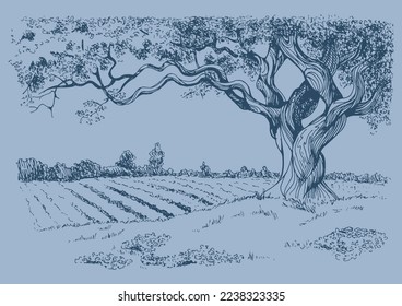 Tree, fields and farm. Vector monochrome handwritten line ink drawn background sketchy in artistic scribble with antique style pen on paper.