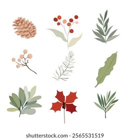 Tree, fir, pine cone, leaf branch, mistletoe, winter vector icon, winter set isolated on white background. Holiday nature illustration