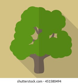 Tree flat icon illustration isolated vector sign symbol