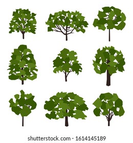 Tree flat isolated various types vector colorful illustration