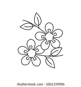 Tree flower icon. Outline tree flower vector icon for web design isolated on white background