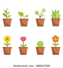 Tree and flower vector illustration flat nature and healthy include plant cactus pots png vector icon