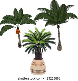 tree with flowers , palm tree growing in a pot