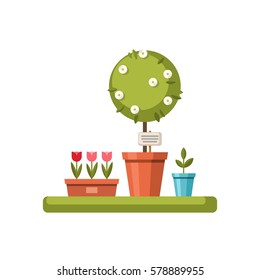 Tree and flowers in pots on white background. Vector illustration.