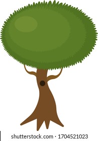 tree with fluffy top and hollow concept of forest plants and nature object on a white background