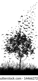 Tree with flying birds. Vector illustration
