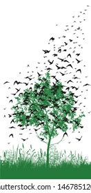 Tree with flying birds. Vector illustration