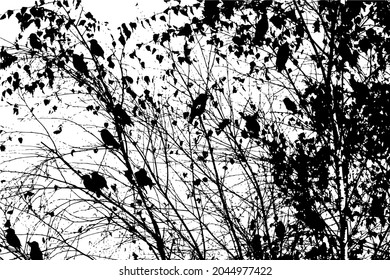 A tree with flying birds. Vector illustration