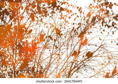 A tree with flying Orange birds. Autumn tree. Vector illustration