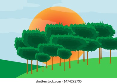 Tree foerest on the mountain with red sun in the background