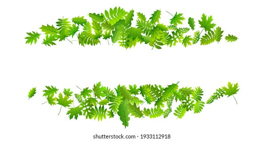 Tree foliage beautiful vector design. Tropical tree foliage closeup. Rowan and maple leaves composition. Herbal organic design. Agriculture abstract backdrop.