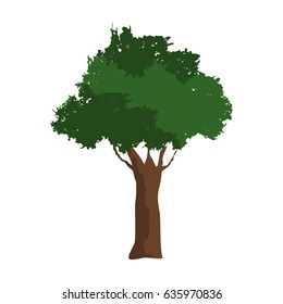 tree foliage branch spring time