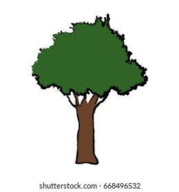 tree foliage branch spring time